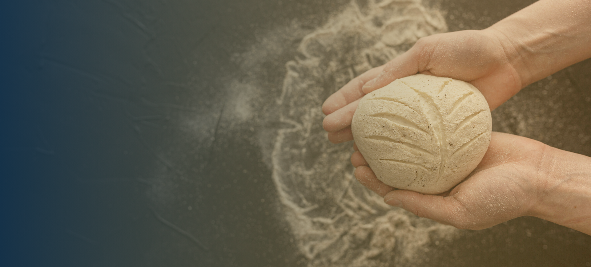 Celle di lievitazione